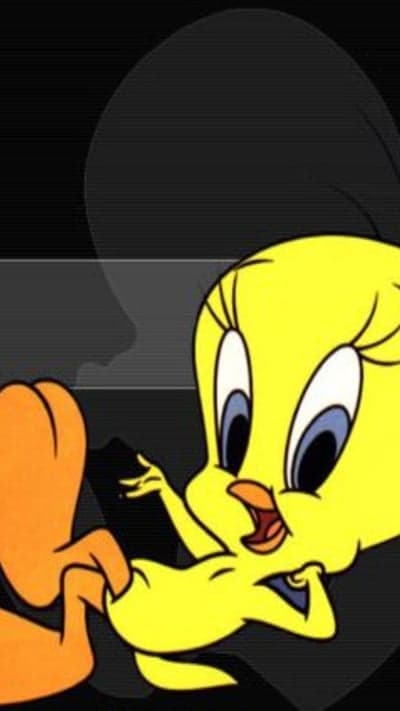 Tweety Bird and Sylvester Cat cartoon characters