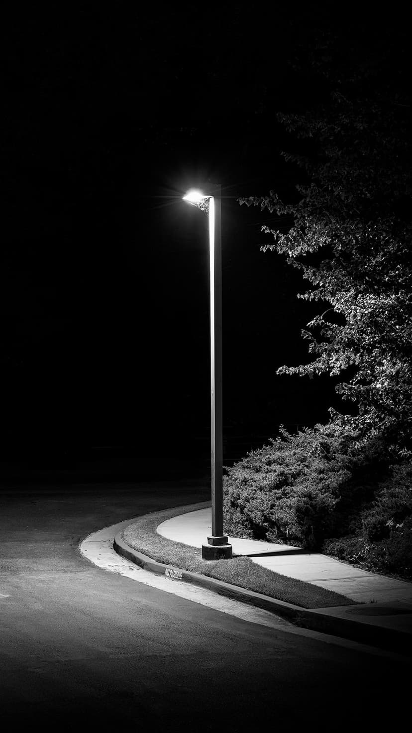 Tall streetlamp illuminating a curving sidewalk and dark trees in a high-contrast black and white night scene.