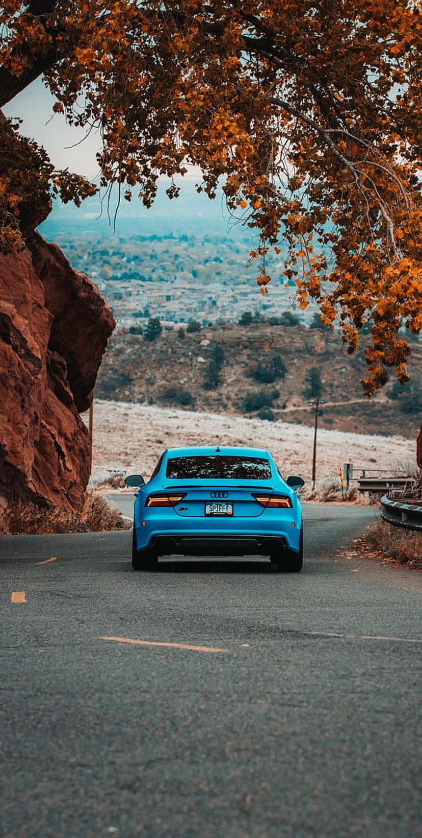 Blue Audi sedan drives on a winding road bordered by vibrant orange autumn leaves and red rock formations.