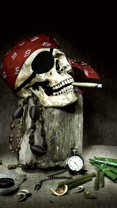 Vintage Nautical Pirate Skull Phone Wallpaper Background