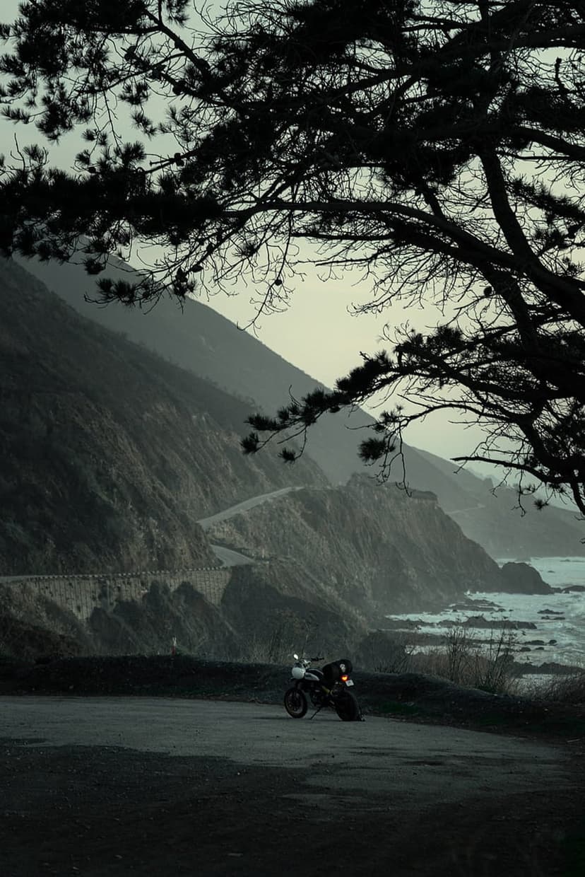 Vintage motorcycle parked on a foggy coastal cliffside road framed by dark tree branches and ocean waves.