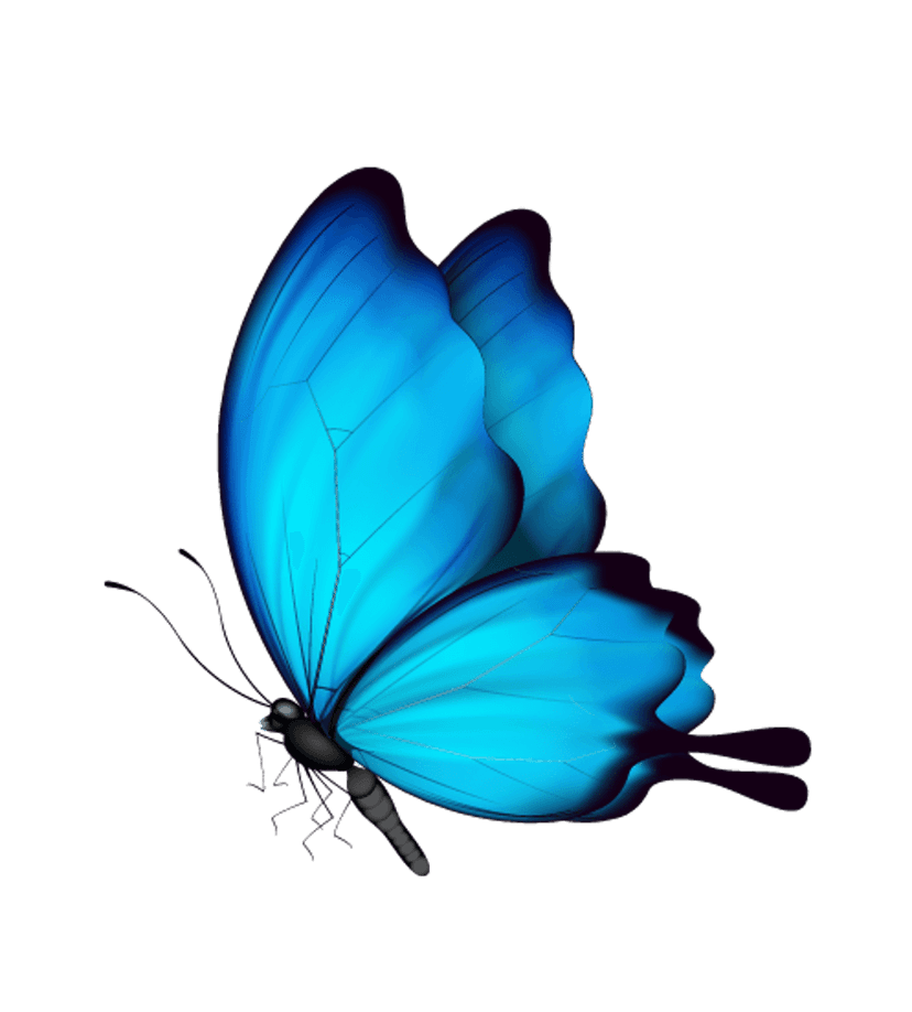 Ulysses butterfly watercolor illustration featuring blue winged insects with black borders and paint splatters.