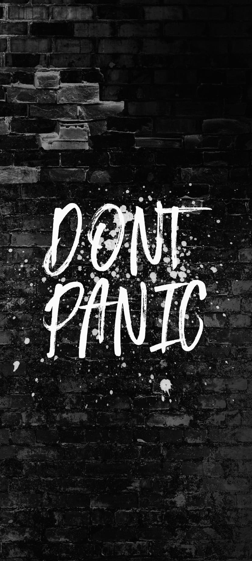 White Don't Panic graffiti sprayed on a dark weathered brick wall with realistic paint splatters and grit.