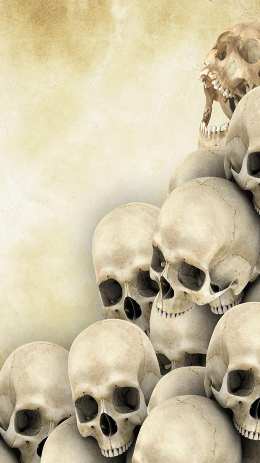 Human skulls stacked on aged parchment with realistic bone textures and deep hollow sockets in a sepia-toned scene.