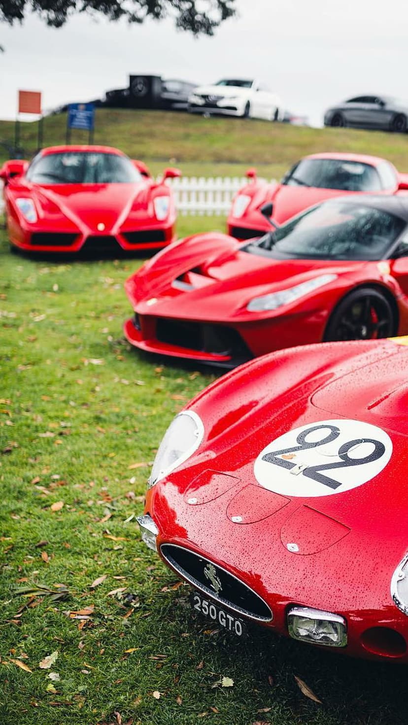Red Ferrari Enzo and classic 250 GTO racing cars parked on wet grass with visible raindrops on their hoods.