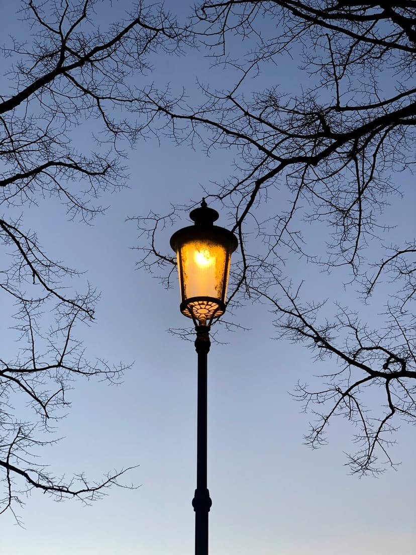 Ornate iron street lamp glowing with amber light against a twilight sky framed by leafless winter tree branches.