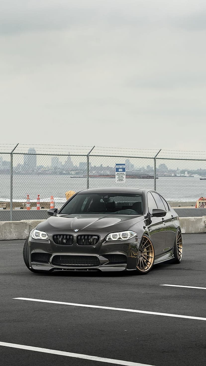 Dark gray BMW M5 sedan with gold rims parked in a waterfront lot near a city skyline and industrial fence.