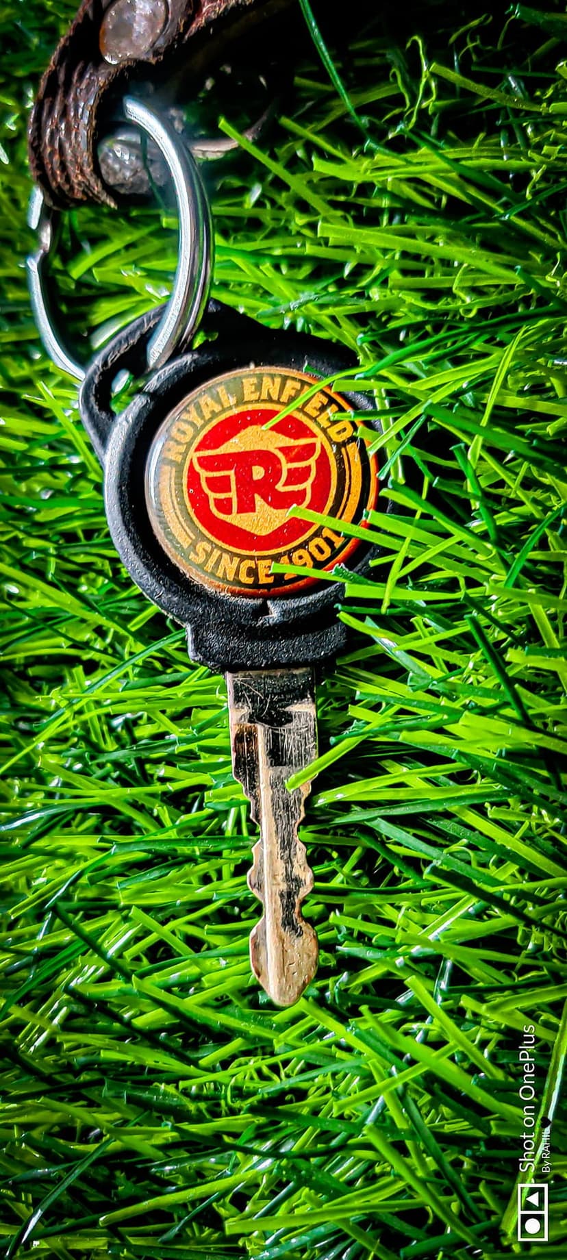Royal Enfield motorcycle key featuring a circular logo emblem resting on a textured bed of green grass blades.