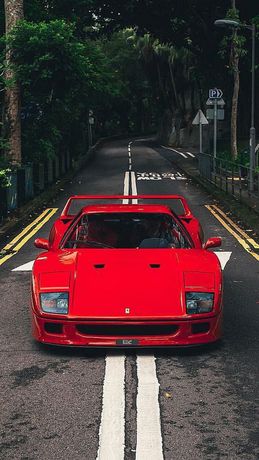 Ferrari F40 supercar in red parked on a wet forest road with yellow lines under filtered sunlight.