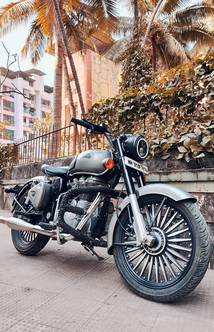 Royal Enfield motorcycle with a silver tank and chrome exhaust parked on a stone path near tropical palm trees.