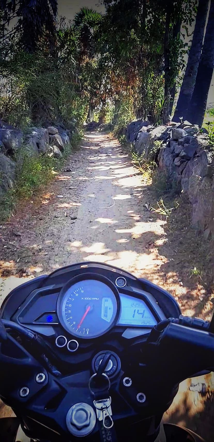 Motorcycle dashboard and handlebars on a dusty dirt path between stone walls and sunlit trees in a forest.