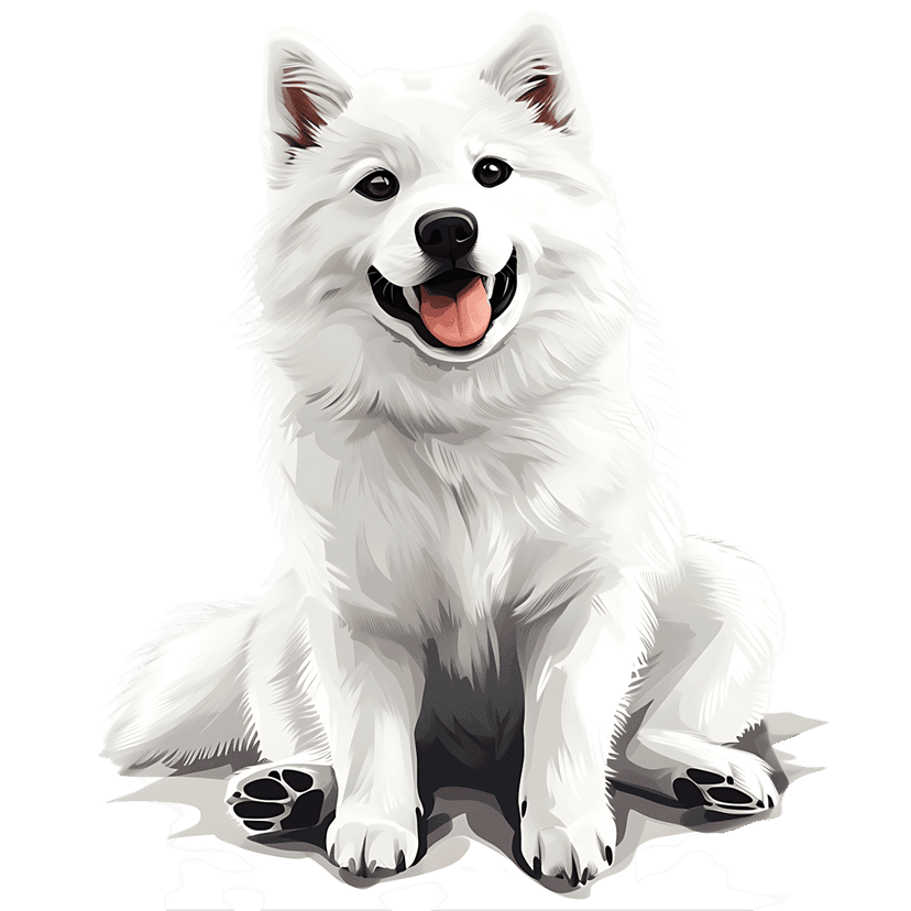 Samoyed dog illustration featuring fluffy white fur and a pink tongue in a sitting pose on a clear background.