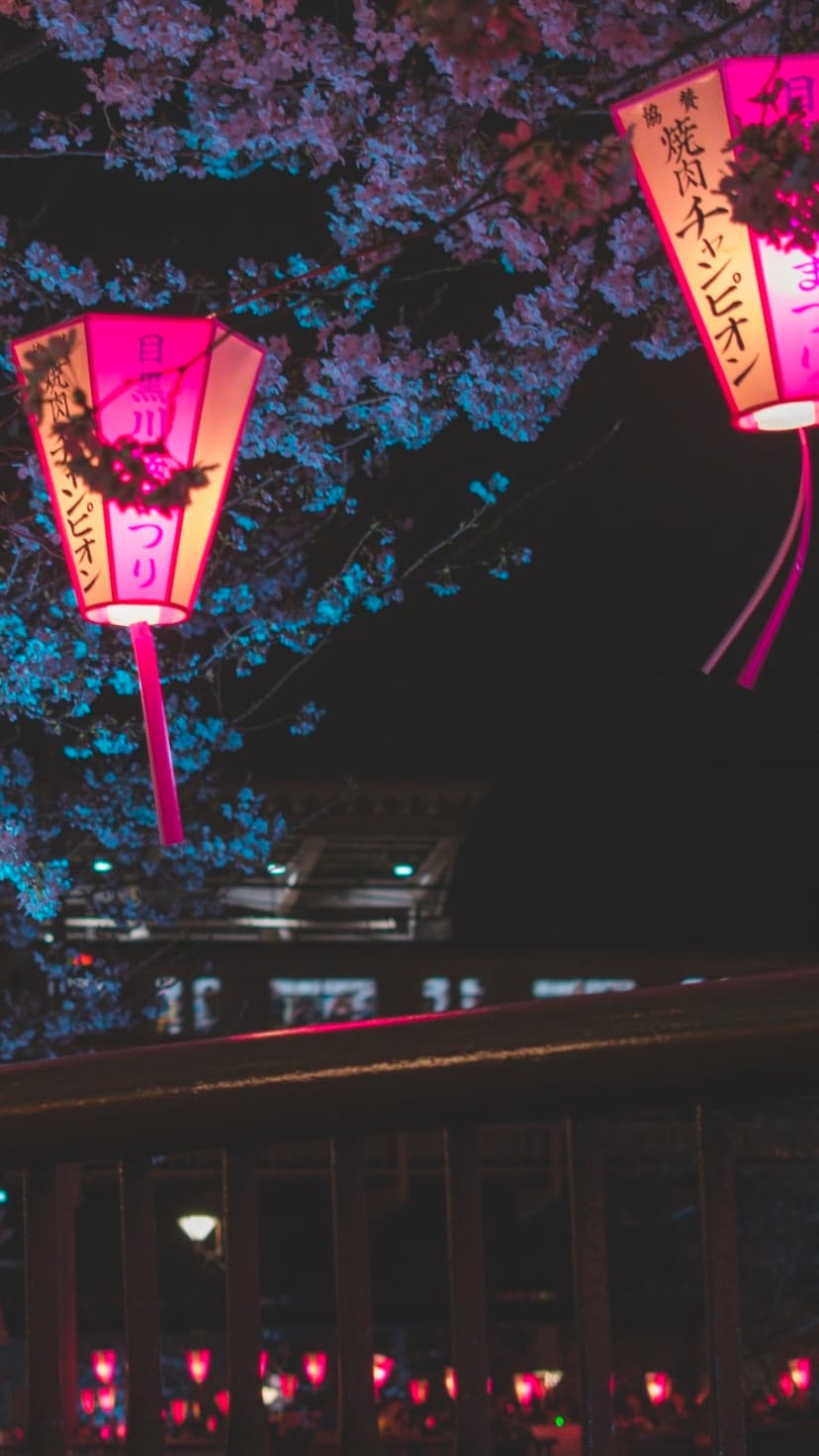 Glowing yellow lanterns hang amidst pink cherry blossom petals under a dark night sky in a vertical view.