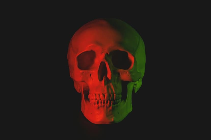 Human skull illuminated by sharp red and green light on a pitch-black background with deep shadows and contrast.
