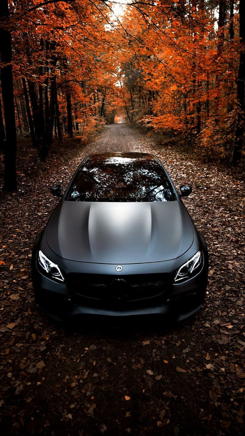 Matte black Mercedes sedan parked on a dirt path covered in fallen orange leaves within a vibrant autumn forest.