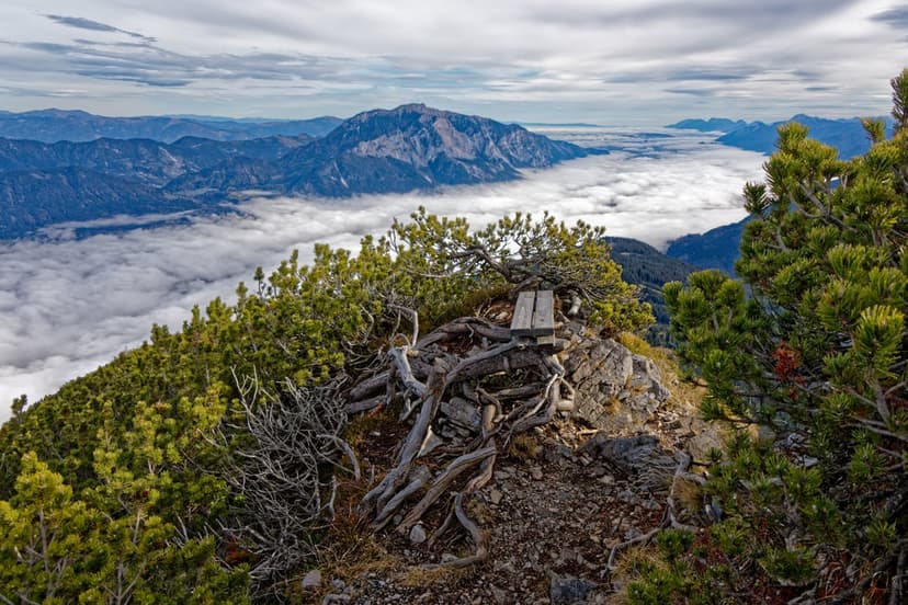 Weathered wooden bench on a rocky summit above a thick sea of clouds with distant peaks and gnarled pine trees.