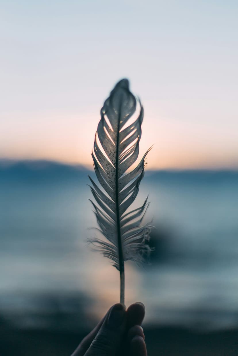 Delicate feather held against a blurry golden hour sky and water, showing fine strands and warm backlighting.