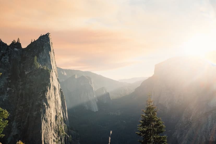 El Capitan granite cliff glows as sunbeams pierce a hazy Yosemite Valley sunset beside a silhouetted pine tree.