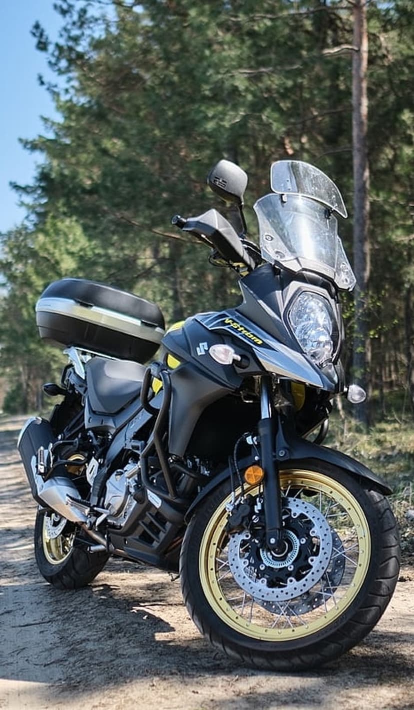 Suzuki V-Strom motorcycle with yellow accents parked on a dirt trail under tall green trees in a dense forest