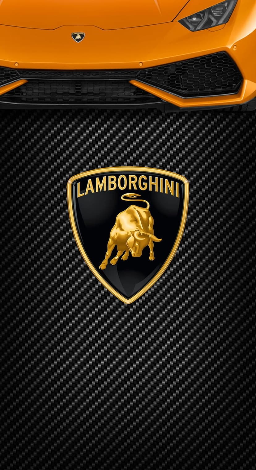 Golden Lamborghini bull crest on black carbon fiber weave with a bright orange sports car grille at the top.