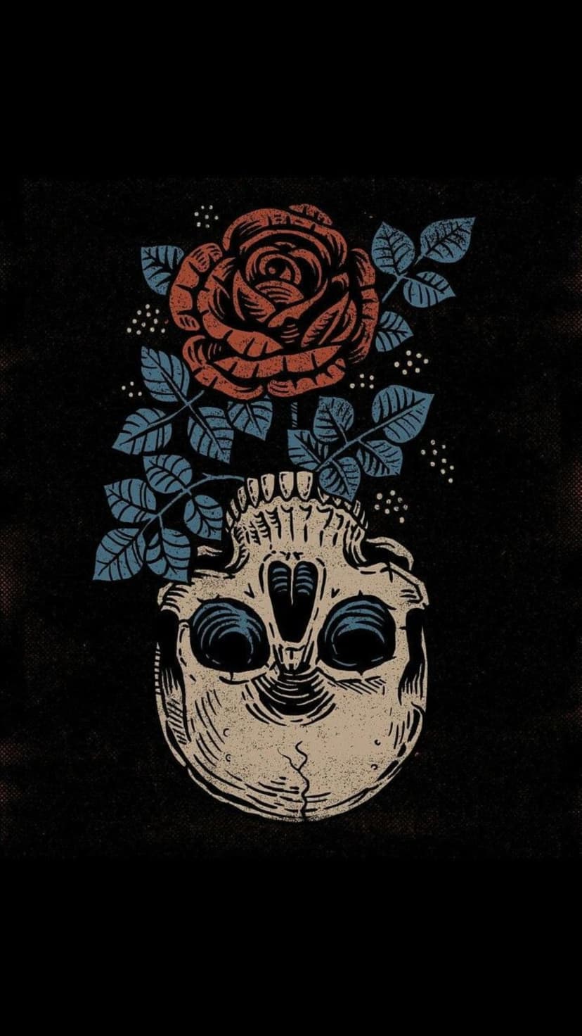 Weathered human skull with a red rose and blue leaves emerging from the eye socket against a black background.