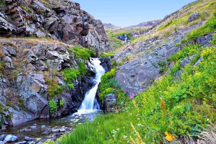 Tiered waterfall flowing over grey rocks surrounded by green grass and wildflowers under a clear blue sky.