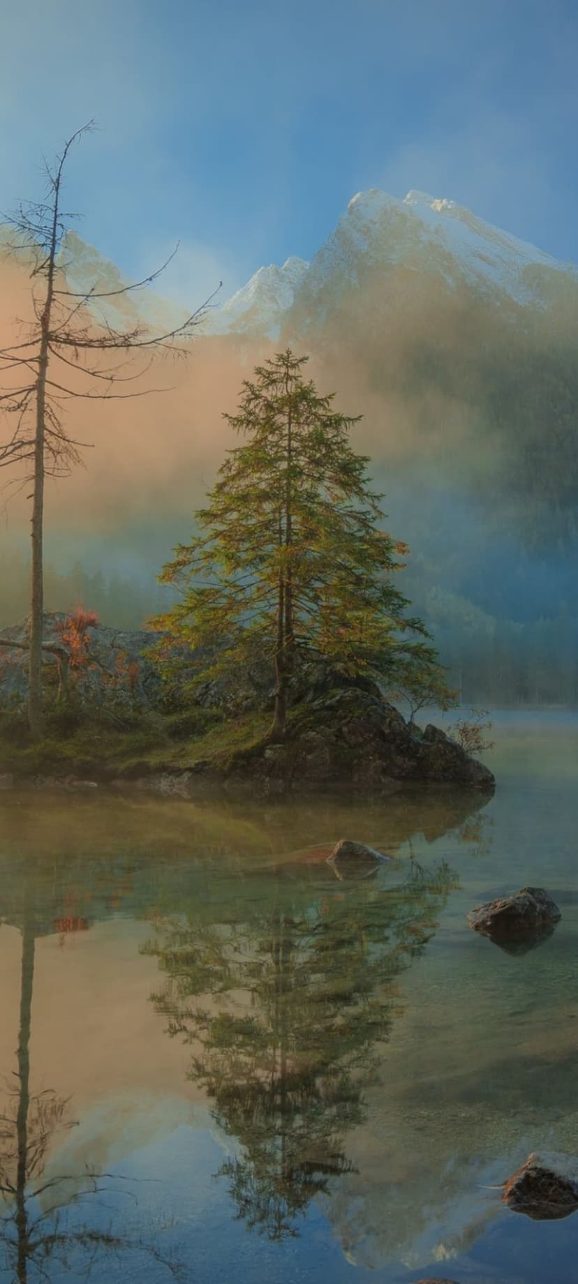 A lone evergreen tree on a rocky shore overlooks a misty mountain range reflecting in a still lake.