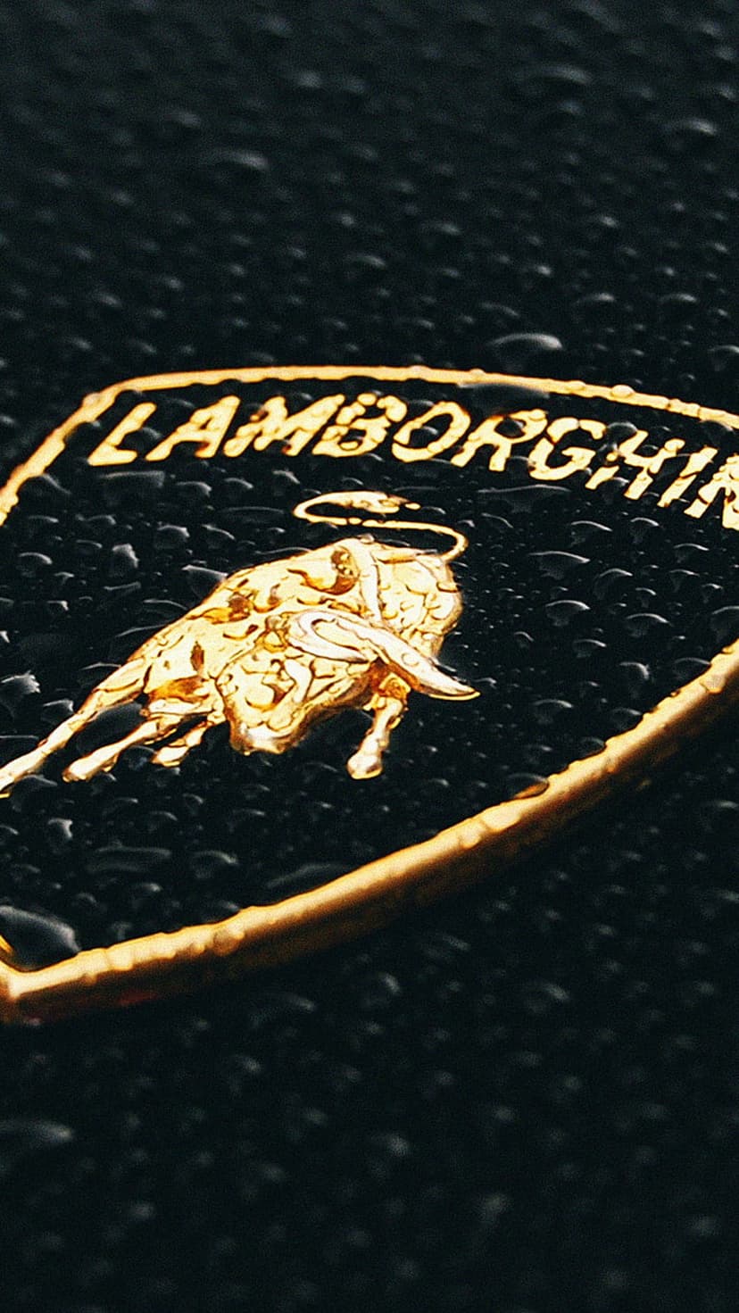 Gold Lamborghini bull emblem sits on a black textured background covered in small, clear water droplets.
