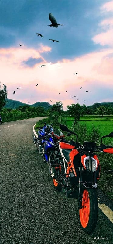 Motorcycle Adventure Scenic Roadway Mobile Wallpaper