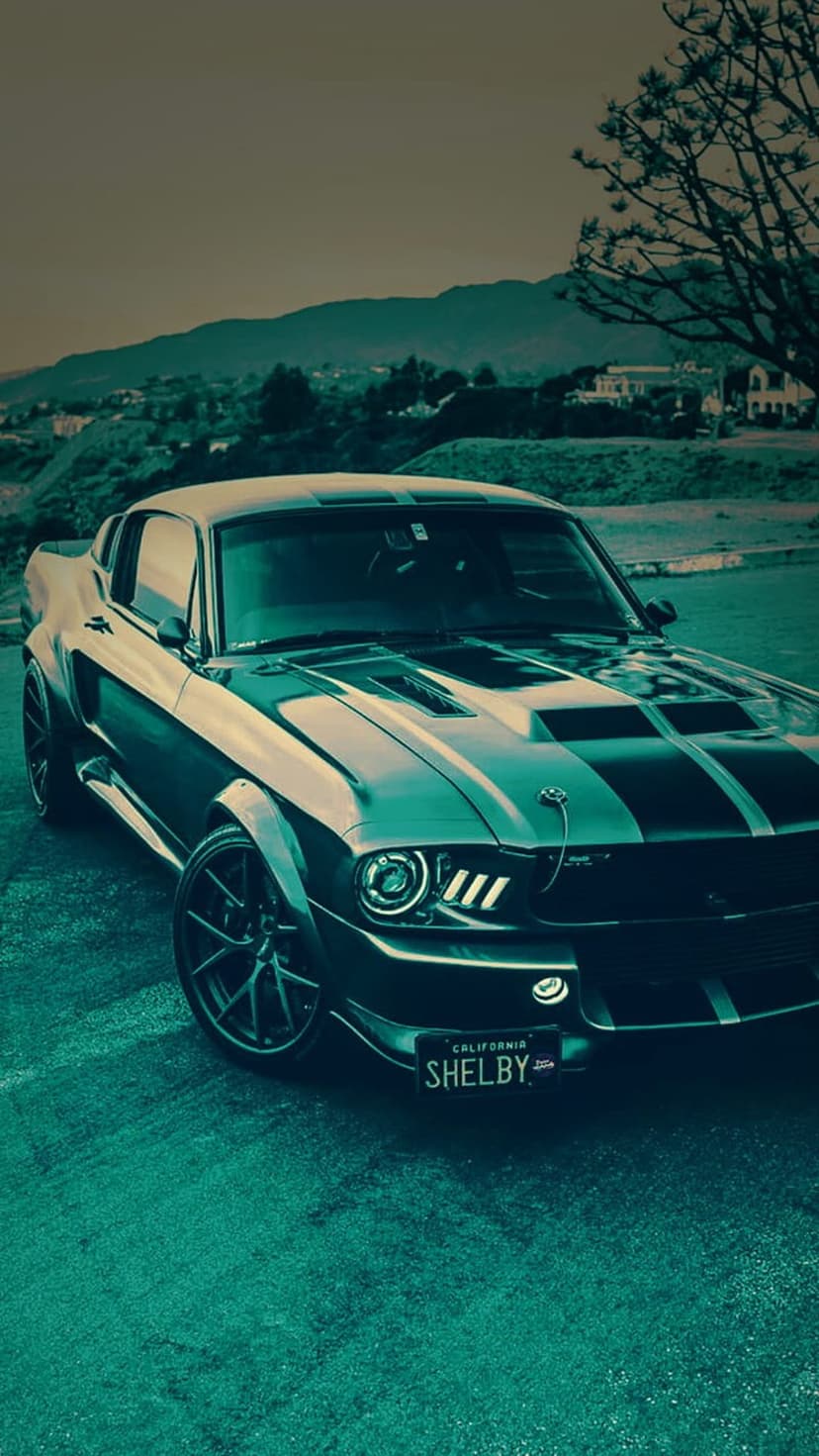 Ford Mustang Shelby GT500 with racing stripes parked on a sunlit California highway with distant rolling hills.