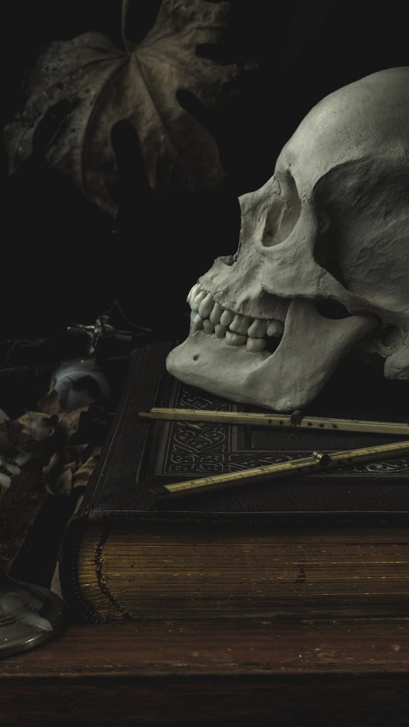 Human skull sits atop an antique leather book surrounded by withered leaves and vintage brass instruments.