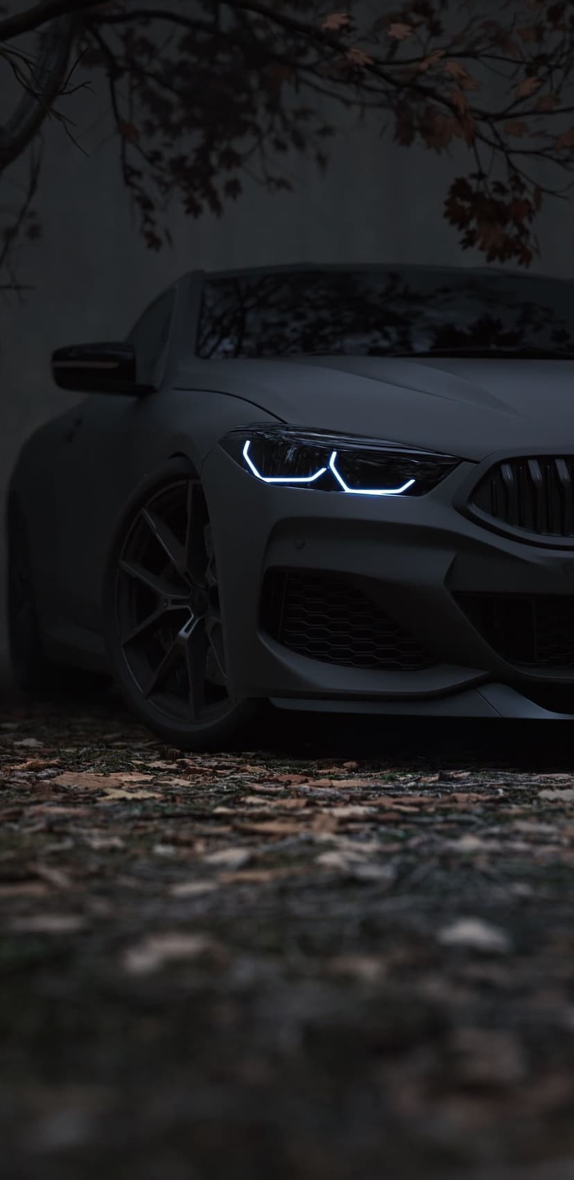 BMW M8 Coupe with glowing LED headlights parked on asphalt covered in fallen autumn leaves at night.