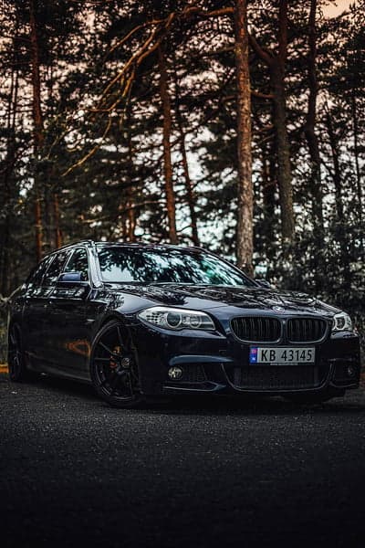 Sleek black BMW sedan parked in a moody forest setting
