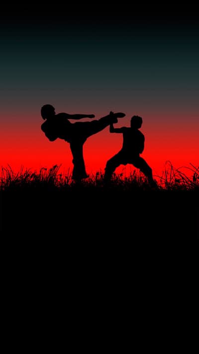 Silhouettes of martial artists sparring at sunset