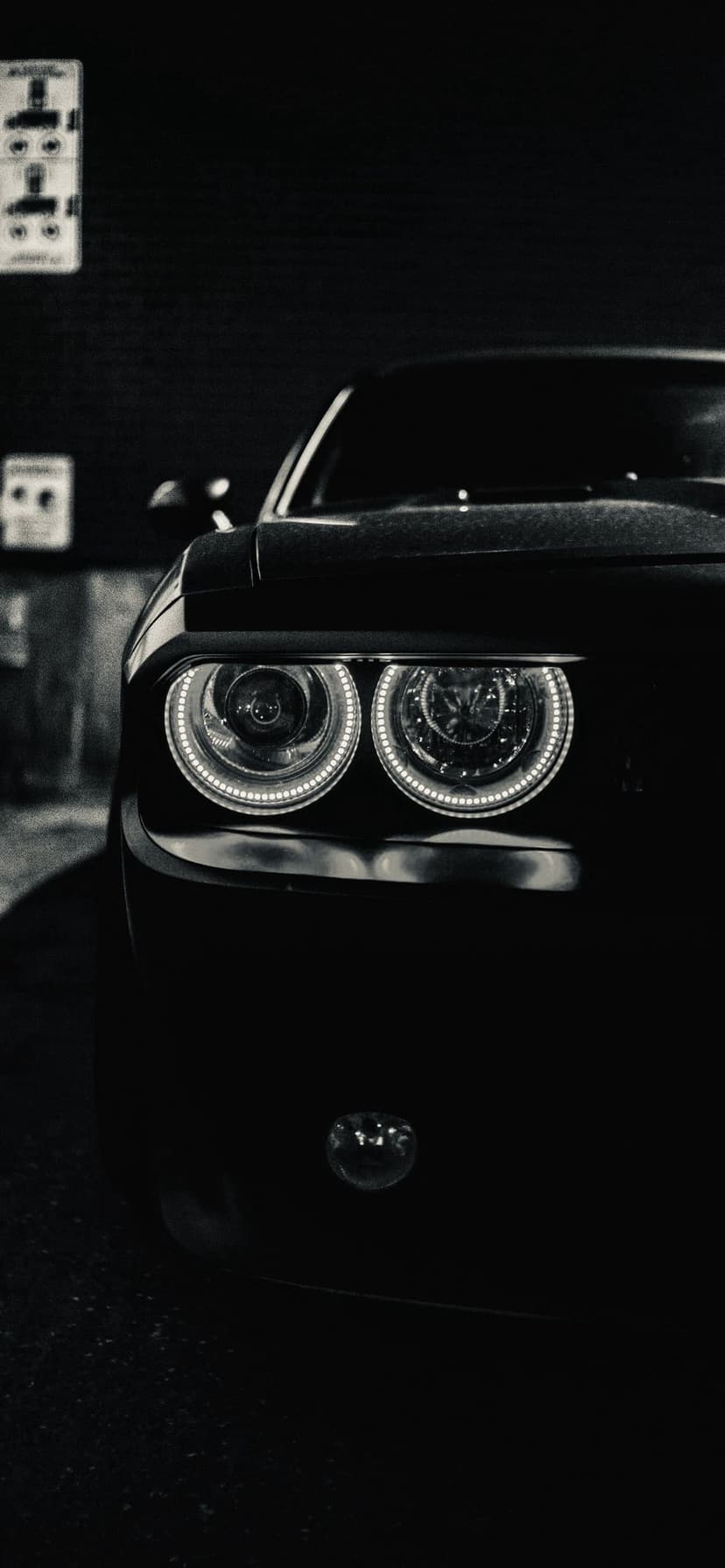 Dodge Charger halo headlights glow intensely in a monochrome night shot showing the car's aggressive front grille.