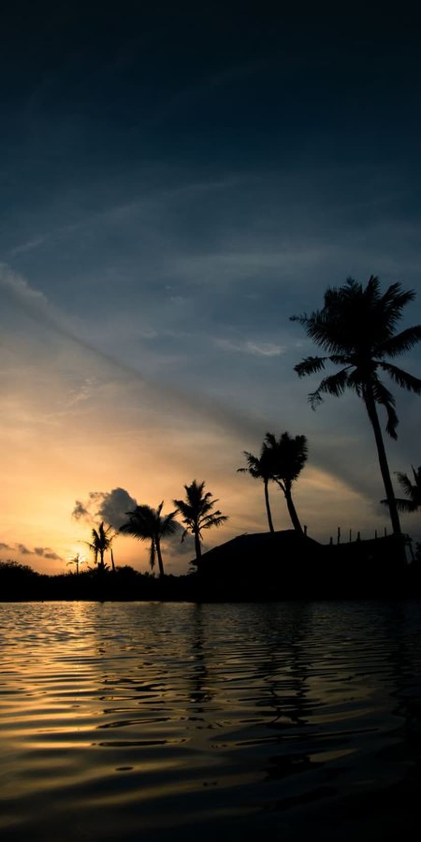 Palm tree silhouettes stand before a vibrant orange and blue sunset sky with soft reflections on calm water.