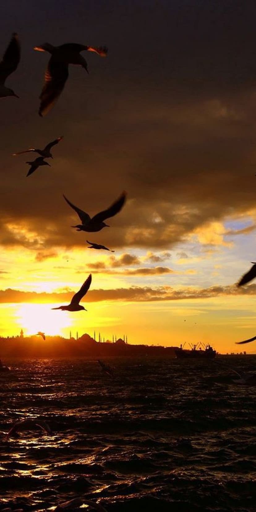 Seagulls in flight over shimmering orange water with a distant city silhouette under a dramatic sunset sky.
