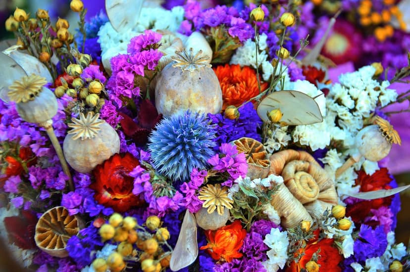 Dried poppy pods, blue thistle, and orange citrus slices arranged in a dense, textured rustic floral bouquet.