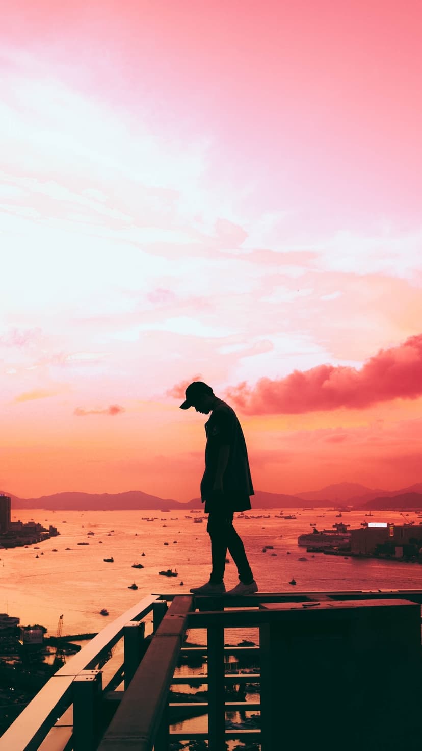Capped person in silhouette stands on a rooftop edge overlooking ships on water under a pink sunset sky.