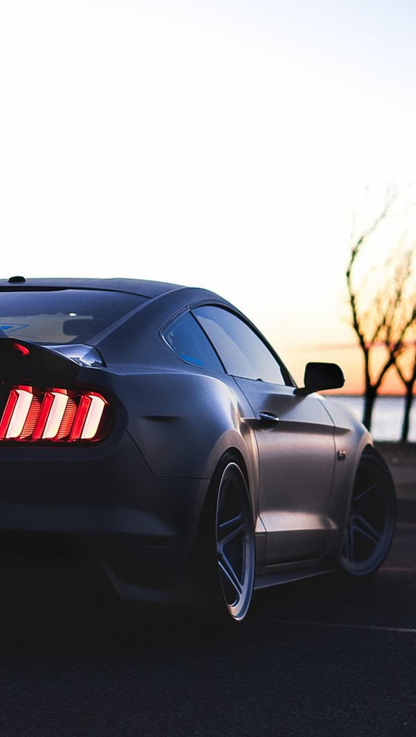 Black Mustang sports car rear view with glowing red tail lights against a silhouetted sunset forest backdrop.