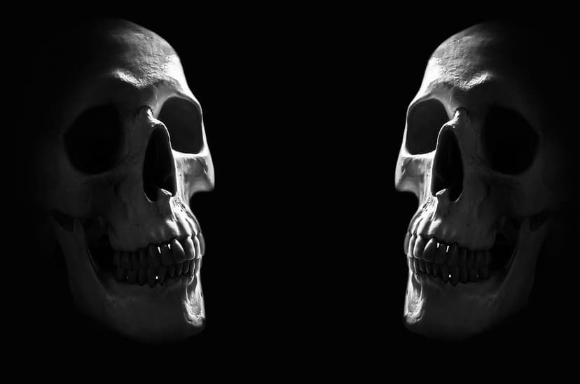 Two human skulls face each other in high-contrast black and white lighting against a dark void background.