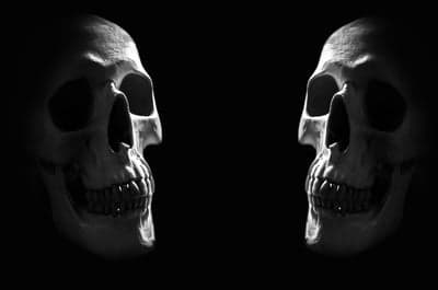 Two Skulls Facing Each Other in Dramatic Lighting