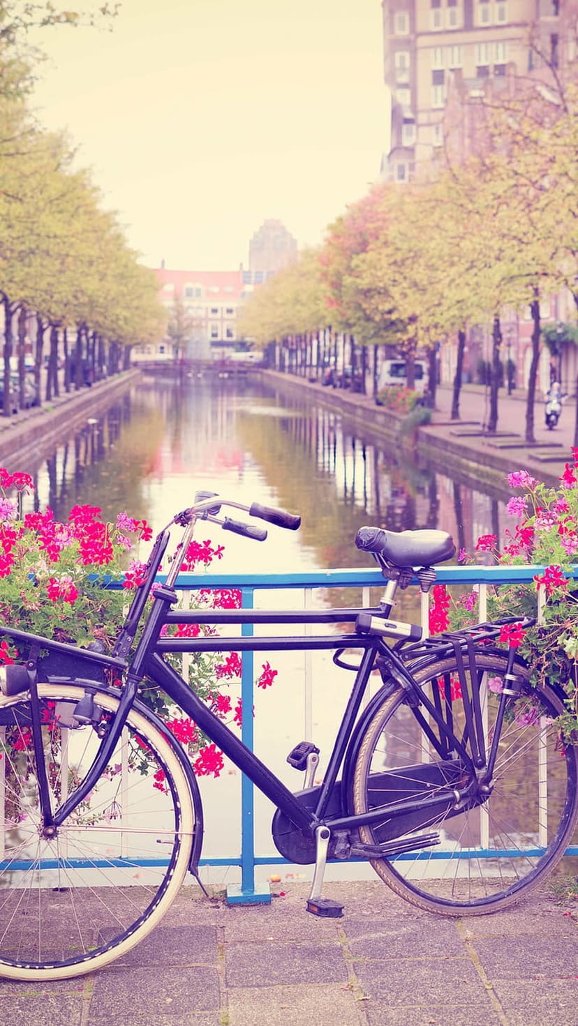 Vintage black bicycle parked on an Amsterdam bridge adorned with vibrant pink flowers overlooking a calm canal.