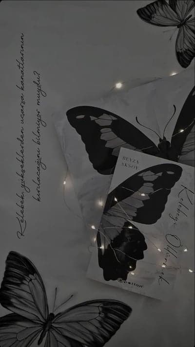 Butterfly Dream: Book, Quotes, and Fairylight