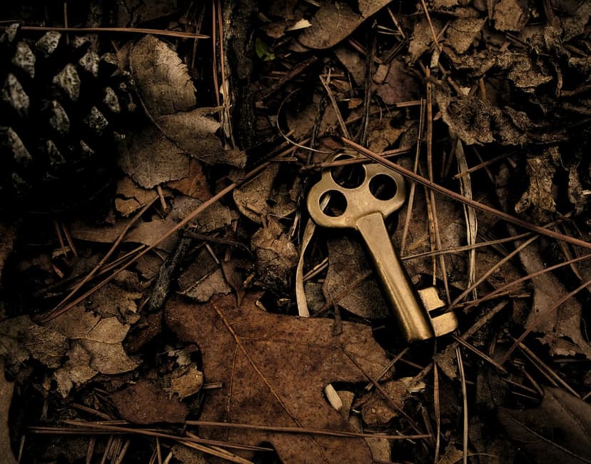 Ornate brass skeleton key laying on damp forest floor leaves, pine needles, and a small pine cone in soft light.