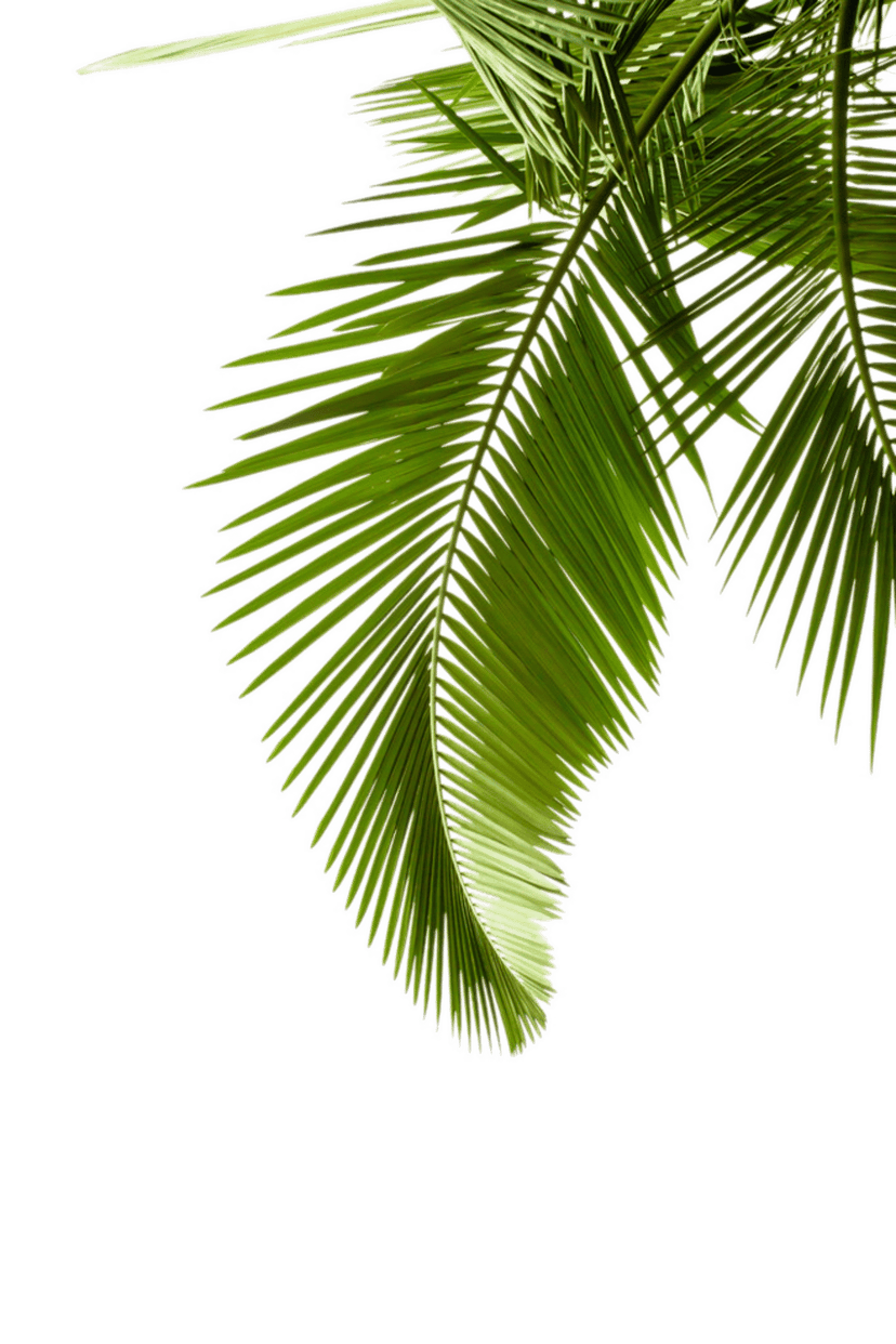 Arecaceae palm leaves watercolor branch featuring detailed green fronds and realistic organic plant textures.