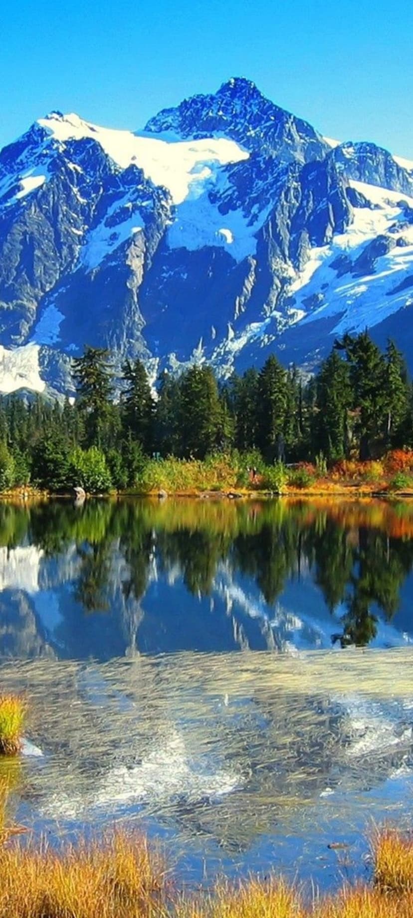 Snowy mountain peak reflected in a calm alpine lake with green pines and autumn trees along the shore.
