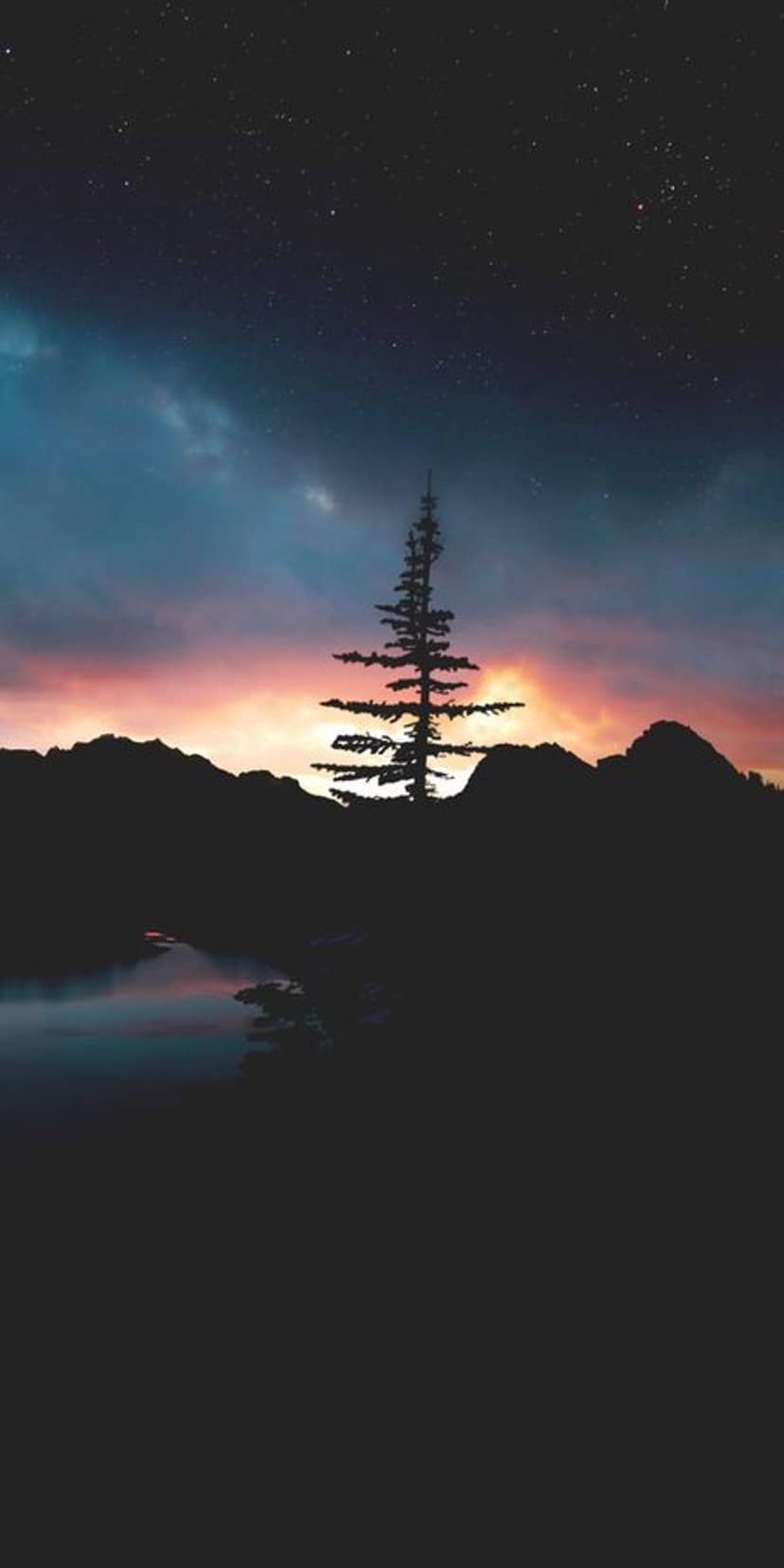 Dark pine silhouettes stand against a fiery orange and purple sky reflecting on a calm lake surface at twilight.