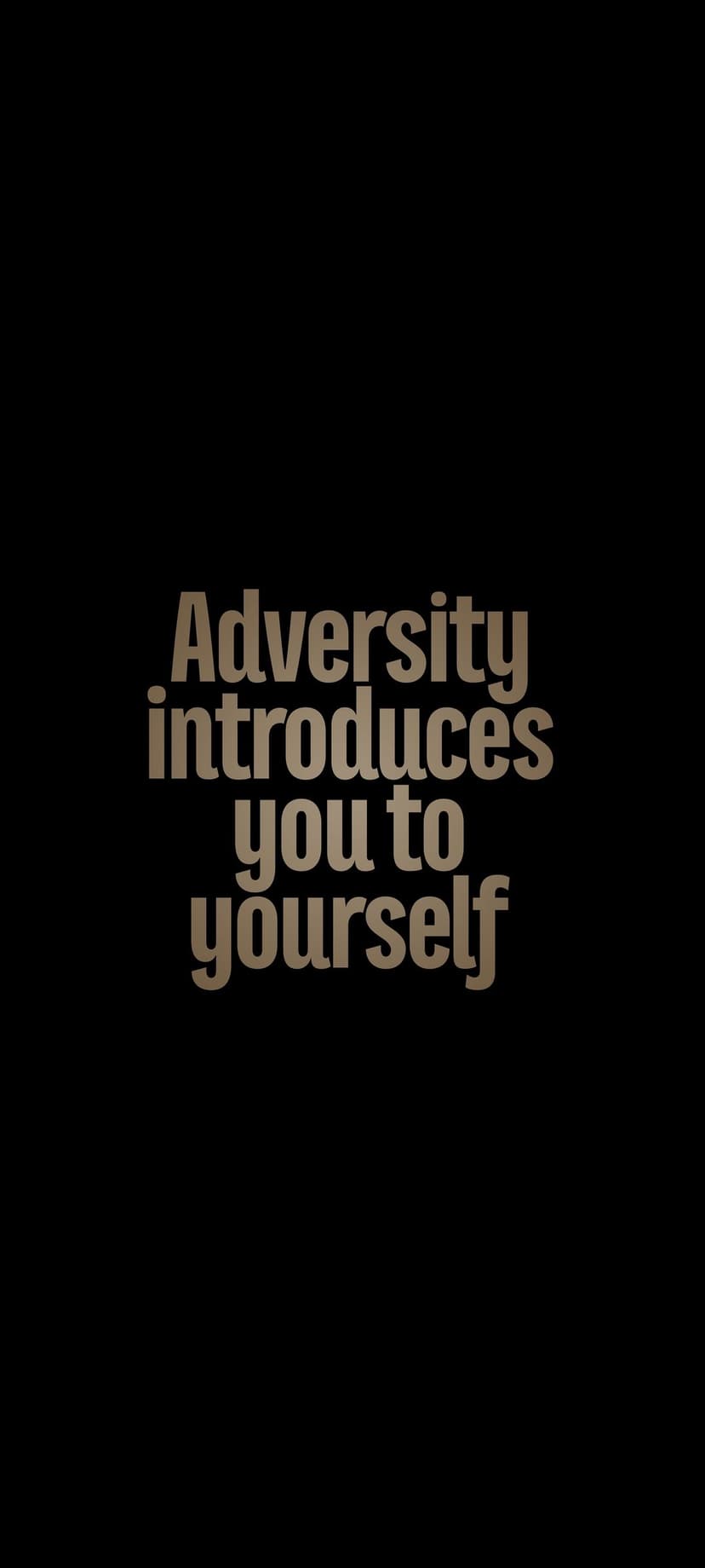 Metallic silver text reading Adversity introduces you to yourself centered on a solid black background.