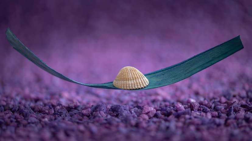 Spiral seashell on a curved green leaf positioned over smooth purple pebbles with a blurred violet background.